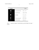 Novel Liposome Nanoparticles for Tumor Magnetic Resonance Imaging diagram and image