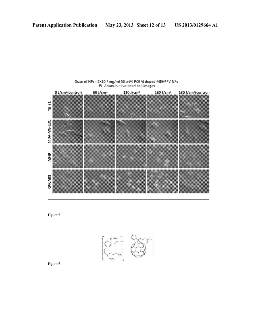 Cancer Therapy Via Selective Uptake of Specialized Nanoparticles in Cancer     Cells - diagram, schematic, and image 13