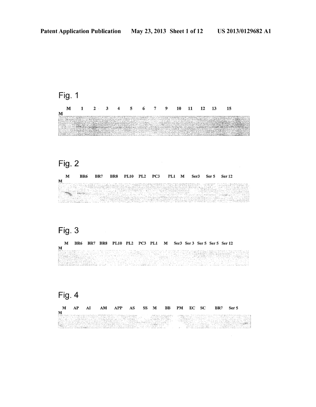 HAEMOPHILUS PARASUIS POLYPEPTIDES AND METHODS OF USE - diagram, schematic, and image 02