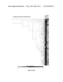 Generation of Lineage-Restricted Progenitor Cells from Differentiated     Cells diagram and image