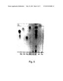 AGENT DERIVED FROM TORTOISE SPLEEN STIMULATING MAMMALIAN HEMOPOIESIS diagram and image