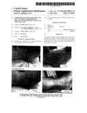 Compositions For The Treatment Of Skin Conditions, Disorders Or Diseases     And Methods Of Making And Using The Same diagram and image