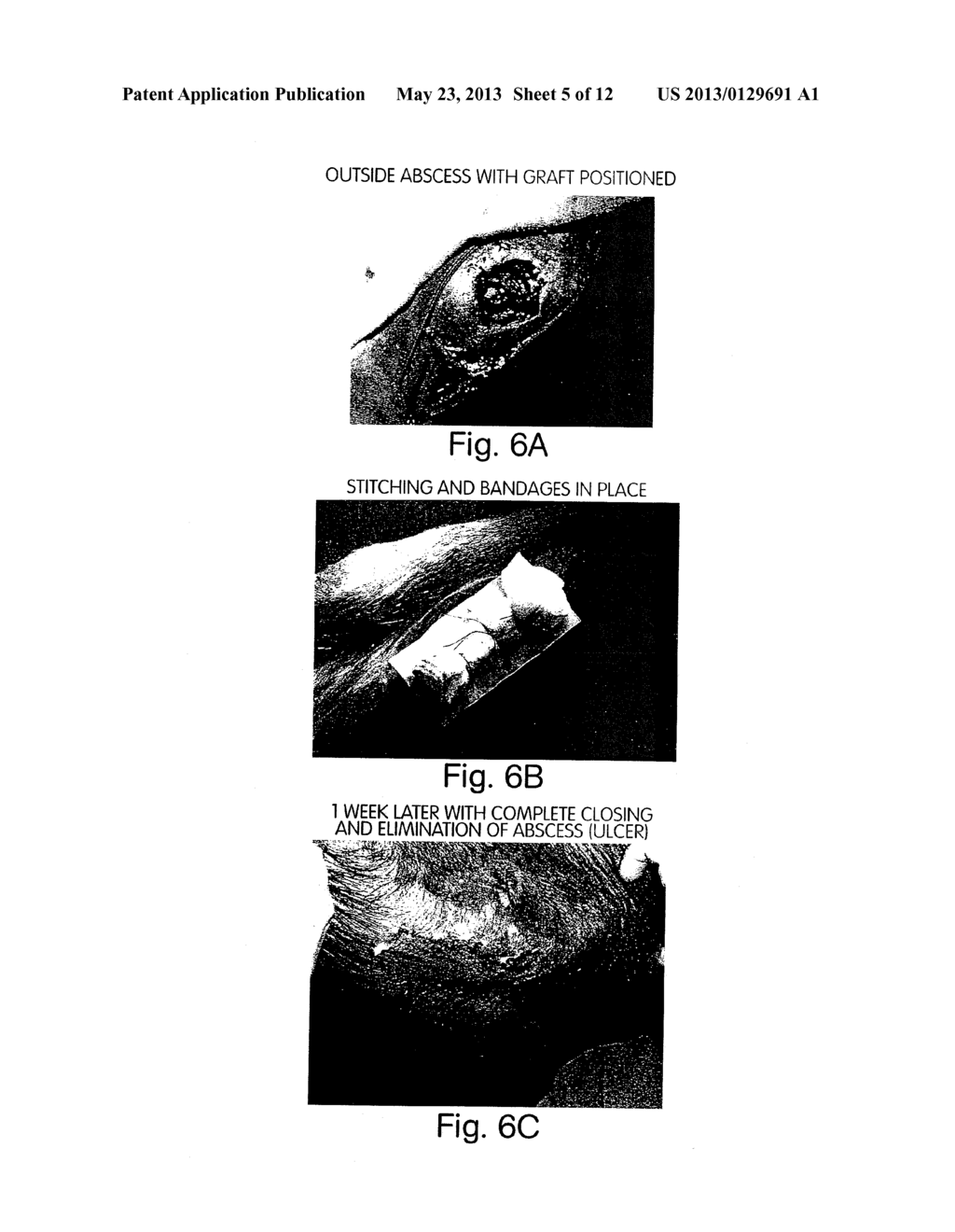 Compositions For The Treatment Of Skin Conditions, Disorders Or Diseases     And Methods Of Making And Using The Same - diagram, schematic, and image 06