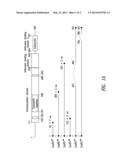 INNOVATIVE DISCOVERY OF THERAPEUTIC, DIAGNOSTIC, AND ANTIBODY COMPOSITIONS     RELATED TO PROTEIN FRAGMENTS OF CYSTEINYL-tRNA SYNTHETASE diagram and image