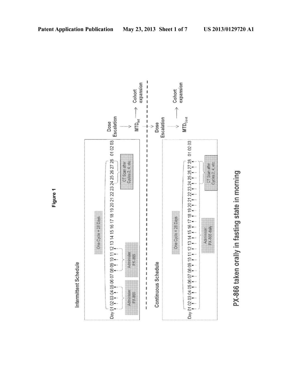 Combination Cancer Therapies with Wortmannin Analogs - diagram, schematic, and image 02