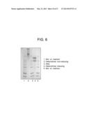 HUMAN FGF RECEPTOR AND BETA-KLOTHO BINDING PROTEINS diagram and image