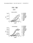 HUMAN FGF RECEPTOR AND BETA-KLOTHO BINDING PROTEINS diagram and image