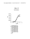 HUMAN FGF RECEPTOR AND BETA-KLOTHO BINDING PROTEINS diagram and image