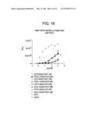 HUMAN FGF RECEPTOR AND BETA-KLOTHO BINDING PROTEINS diagram and image