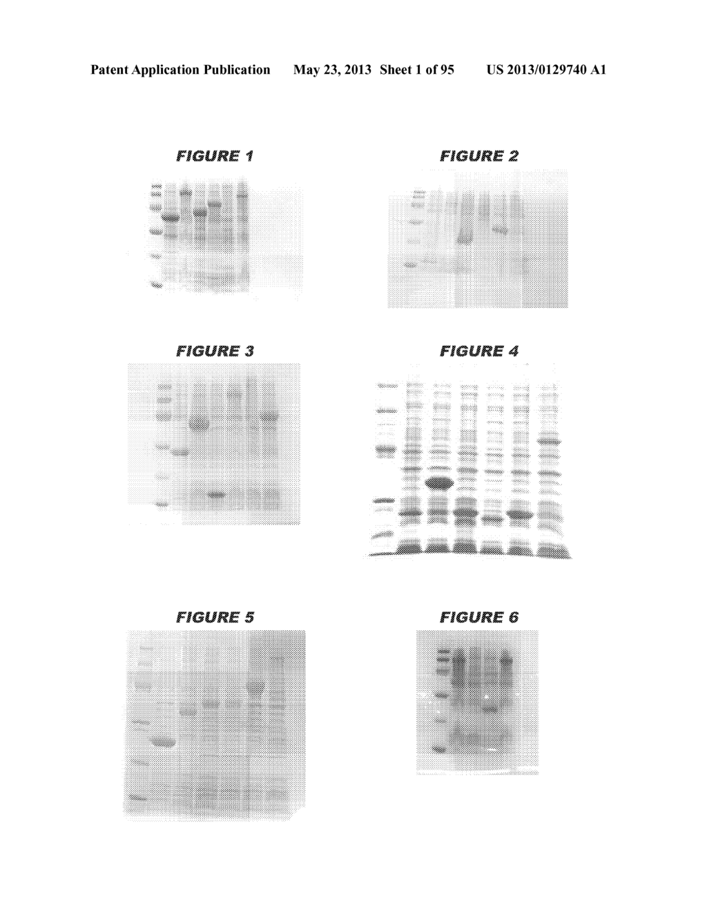 NUCLEIC ACIDS AND PROTEINS FROM STREPTOCOCCUS GROUPS A AND B - diagram, schematic, and image 02