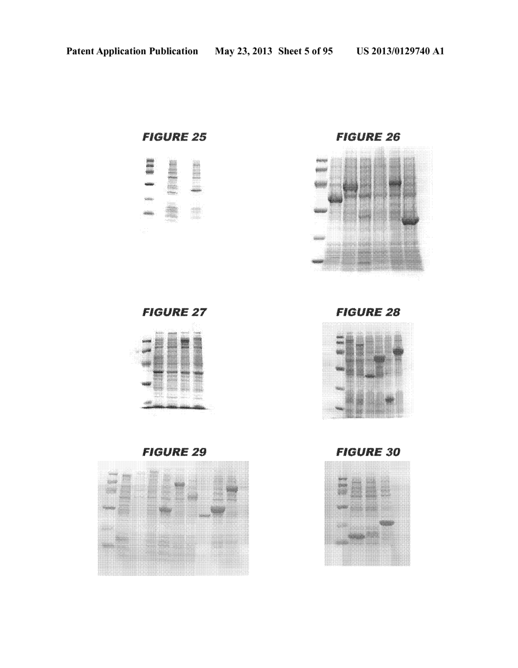 NUCLEIC ACIDS AND PROTEINS FROM STREPTOCOCCUS GROUPS A AND B - diagram, schematic, and image 06