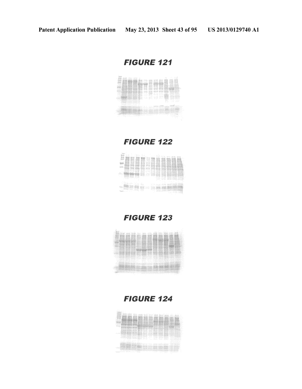 NUCLEIC ACIDS AND PROTEINS FROM STREPTOCOCCUS GROUPS A AND B - diagram, schematic, and image 44