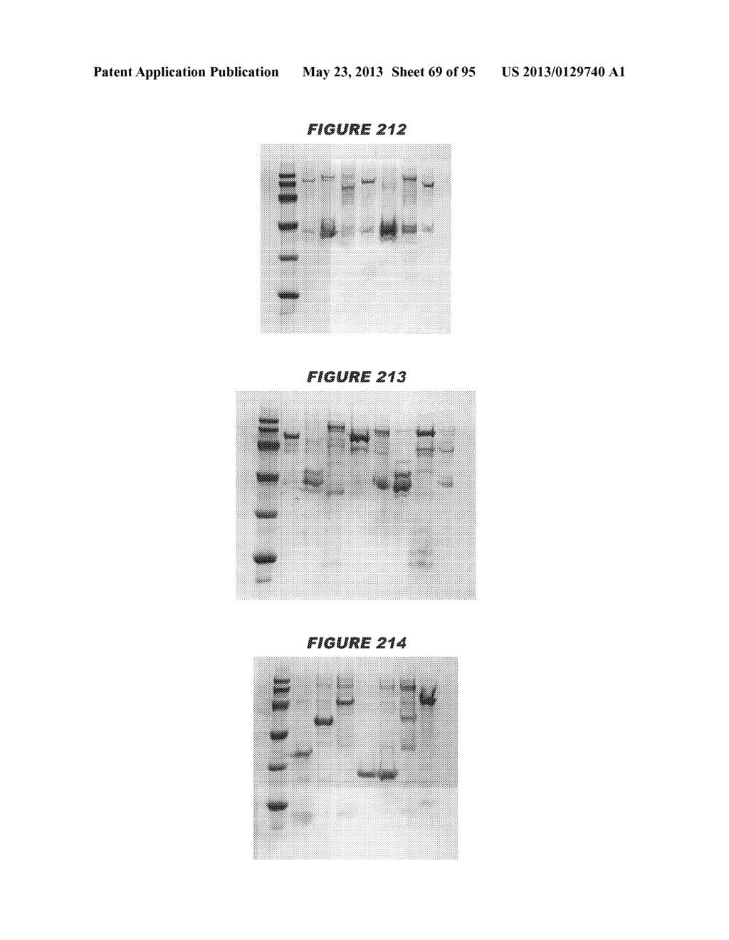 NUCLEIC ACIDS AND PROTEINS FROM STREPTOCOCCUS GROUPS A AND B - diagram, schematic, and image 70