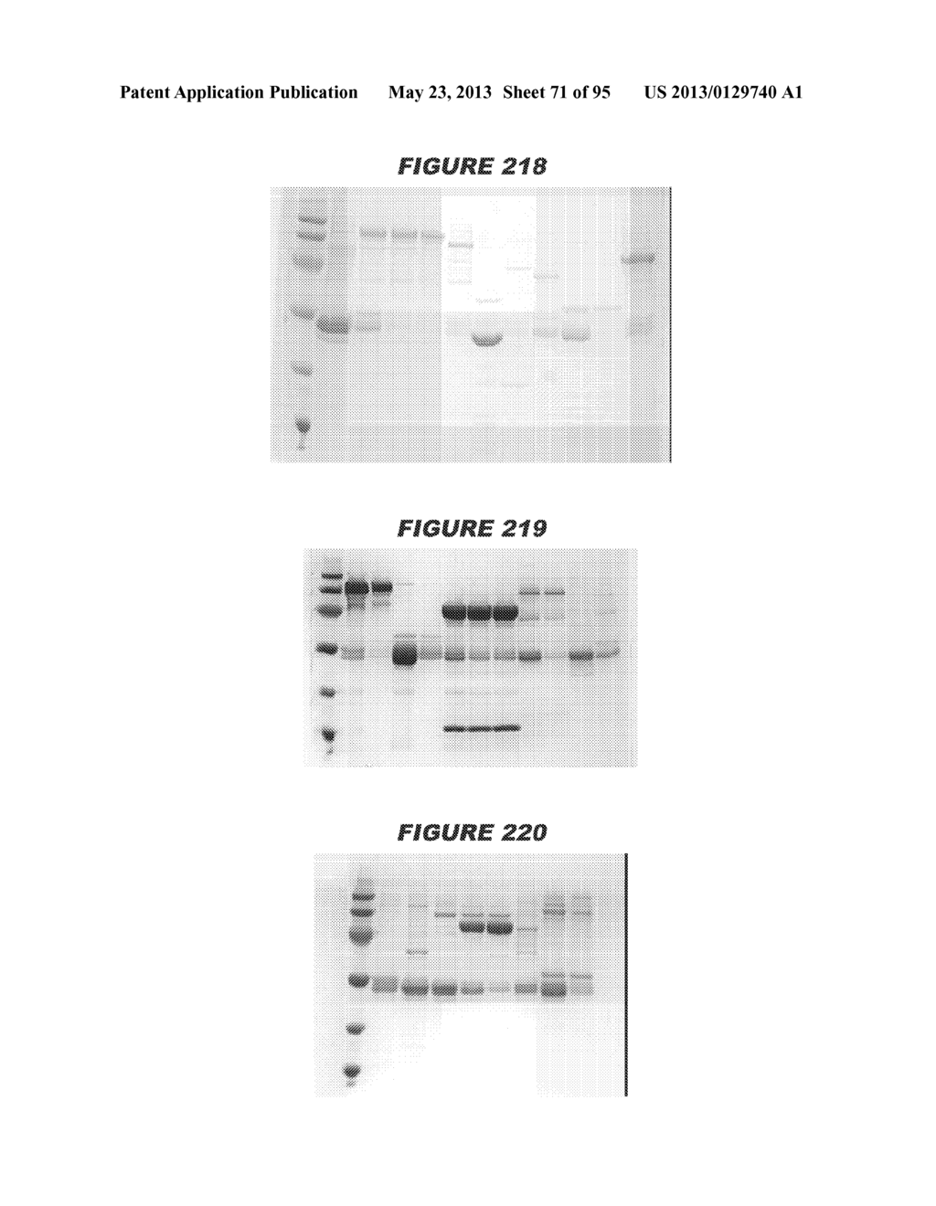 NUCLEIC ACIDS AND PROTEINS FROM STREPTOCOCCUS GROUPS A AND B - diagram, schematic, and image 72