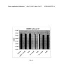 METHODS AND SYSTEMS FOR TREATING CELL PROLIFERATION DISORDERS WITH     PSORALEN DERIVATIVES diagram and image