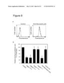 INTERACTION OF MORAXELLA CATARRHALIS WITH EPITHELIAL CELLS, EXTRACELLULAR     MATRIX PROTEINS AND THE COMPLEMENT SYSTEM diagram and image