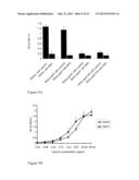 INTERACTION OF MORAXELLA CATARRHALIS WITH EPITHELIAL CELLS, EXTRACELLULAR     MATRIX PROTEINS AND THE COMPLEMENT SYSTEM diagram and image