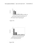 INTERACTION OF MORAXELLA CATARRHALIS WITH EPITHELIAL CELLS, EXTRACELLULAR     MATRIX PROTEINS AND THE COMPLEMENT SYSTEM diagram and image