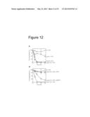 INTERACTION OF MORAXELLA CATARRHALIS WITH EPITHELIAL CELLS, EXTRACELLULAR     MATRIX PROTEINS AND THE COMPLEMENT SYSTEM diagram and image