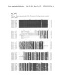 INTERACTION OF MORAXELLA CATARRHALIS WITH EPITHELIAL CELLS, EXTRACELLULAR     MATRIX PROTEINS AND THE COMPLEMENT SYSTEM diagram and image