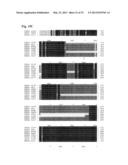 INTERACTION OF MORAXELLA CATARRHALIS WITH EPITHELIAL CELLS, EXTRACELLULAR     MATRIX PROTEINS AND THE COMPLEMENT SYSTEM diagram and image