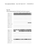 INTERACTION OF MORAXELLA CATARRHALIS WITH EPITHELIAL CELLS, EXTRACELLULAR     MATRIX PROTEINS AND THE COMPLEMENT SYSTEM diagram and image