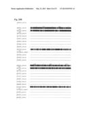 INTERACTION OF MORAXELLA CATARRHALIS WITH EPITHELIAL CELLS, EXTRACELLULAR     MATRIX PROTEINS AND THE COMPLEMENT SYSTEM diagram and image