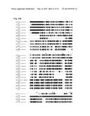 INTERACTION OF MORAXELLA CATARRHALIS WITH EPITHELIAL CELLS, EXTRACELLULAR     MATRIX PROTEINS AND THE COMPLEMENT SYSTEM diagram and image