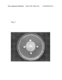 NOVEL XYLOGONE GANODERMOPHTHORA STRAIN WITH ANTIFUNGAL ACTIVITY, AND     COMPOSITION INCLUDING SAME FOR PREVENTING PLANT DISEASES diagram and image