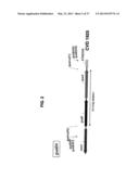 Broad Spectrum Vaccine Against Typhoidal and Non-typhoidal Salmonella     Disease diagram and image