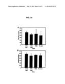 Broad Spectrum Vaccine Against Typhoidal and Non-typhoidal Salmonella     Disease diagram and image