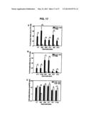 Broad Spectrum Vaccine Against Typhoidal and Non-typhoidal Salmonella     Disease diagram and image