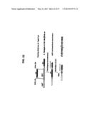 Broad Spectrum Vaccine Against Typhoidal and Non-typhoidal Salmonella     Disease diagram and image