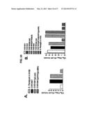 Broad Spectrum Vaccine Against Typhoidal and Non-typhoidal Salmonella     Disease diagram and image