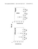 Broad Spectrum Vaccine Against Typhoidal and Non-typhoidal Salmonella     Disease diagram and image