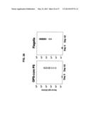 Broad Spectrum Vaccine Against Typhoidal and Non-typhoidal Salmonella     Disease diagram and image