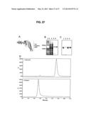 Broad Spectrum Vaccine Against Typhoidal and Non-typhoidal Salmonella     Disease diagram and image