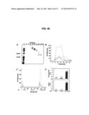 Broad Spectrum Vaccine Against Typhoidal and Non-typhoidal Salmonella     Disease diagram and image