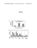 Broad Spectrum Vaccine Against Typhoidal and Non-typhoidal Salmonella     Disease diagram and image