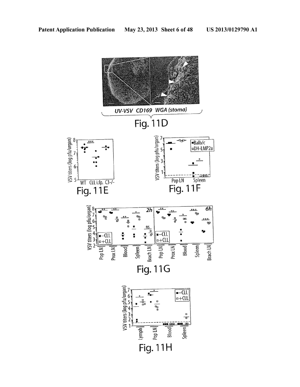 Adjuvant Incorporation in Immunonanotherapeutics - diagram, schematic, and image 07