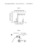 Encapsulation and Controlled Release of Small Molecules for Intracellular     Delivery Using Thermally Responsive Nanocapsules diagram and image