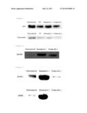 METHOD OF EXTERNAL SKIN APPLICATION OF COMPOSITION CONTAINING RED PINE     ROOT EXTRACT diagram and image