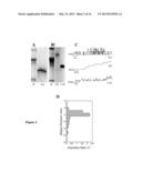 BILAYERS diagram and image