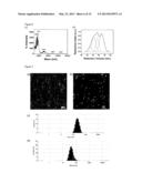 Porous Thin Films diagram and image