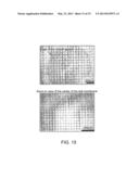 Porous Thin Films diagram and image