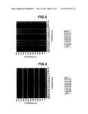 NEGATIVE PATTERN FORMING PROCESS AND NEGATIVE RESIST COMPOSITION diagram and image