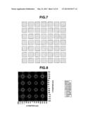 NEGATIVE PATTERN FORMING PROCESS AND NEGATIVE RESIST COMPOSITION diagram and image