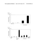 METHOD FOR DETERMINING PRESENCE OR ABSENCE OF CANCER CELL IN BIOLOGICAL     SAMPLE, AND MOLECULAR MARKER AND KIT FOR DETERMINATION diagram and image