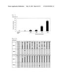 METHOD FOR DETERMINING PRESENCE OR ABSENCE OF CANCER CELL IN BIOLOGICAL     SAMPLE, AND MOLECULAR MARKER AND KIT FOR DETERMINATION diagram and image