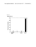 METHOD FOR DETERMINING PRESENCE OR ABSENCE OF CANCER CELL IN BIOLOGICAL     SAMPLE, AND MOLECULAR MARKER AND KIT FOR DETERMINATION diagram and image